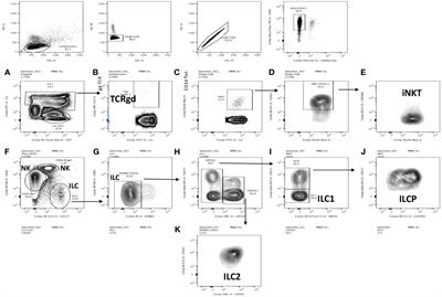 Abnormal functional lymphoid tolerance and enhanced myeloid exocytosis are characteristics of resting and stimulated PBMCs in cystic fibrosis patients